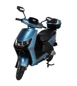 tiger_bleu_11